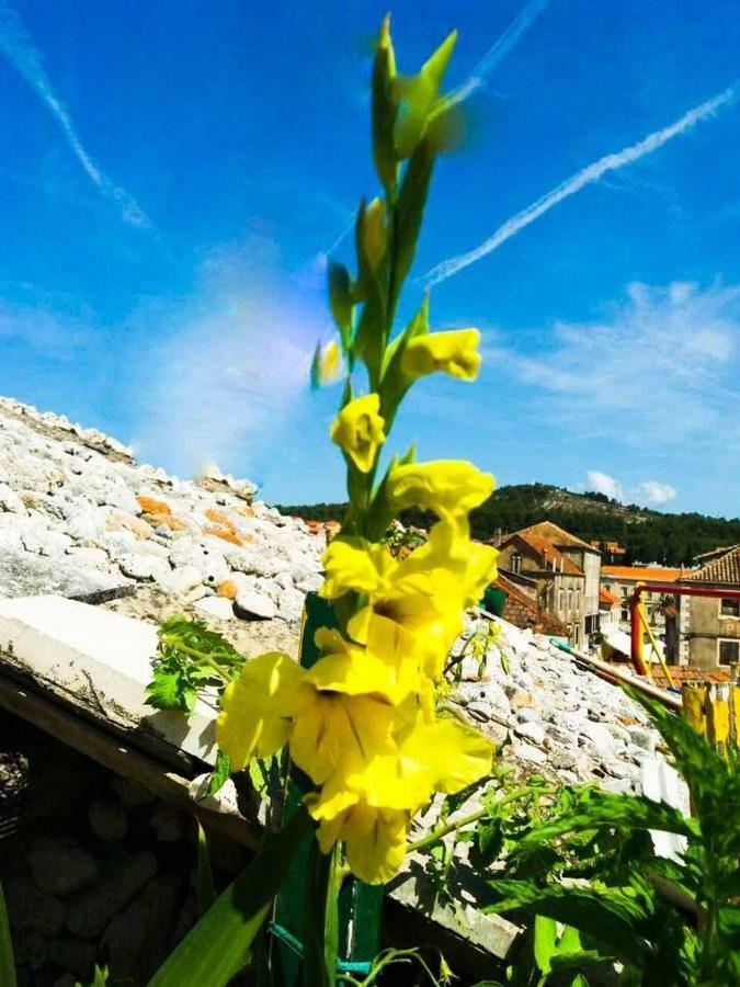 Guest House San Nikola Stari Grad  Buitenkant foto
