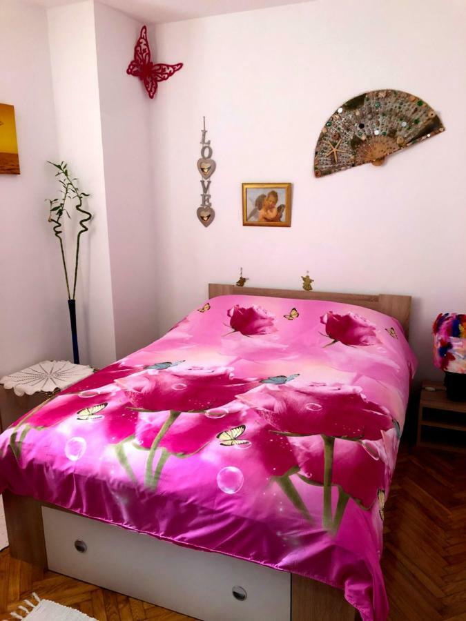 Guest House San Nikola Stari Grad  Buitenkant foto